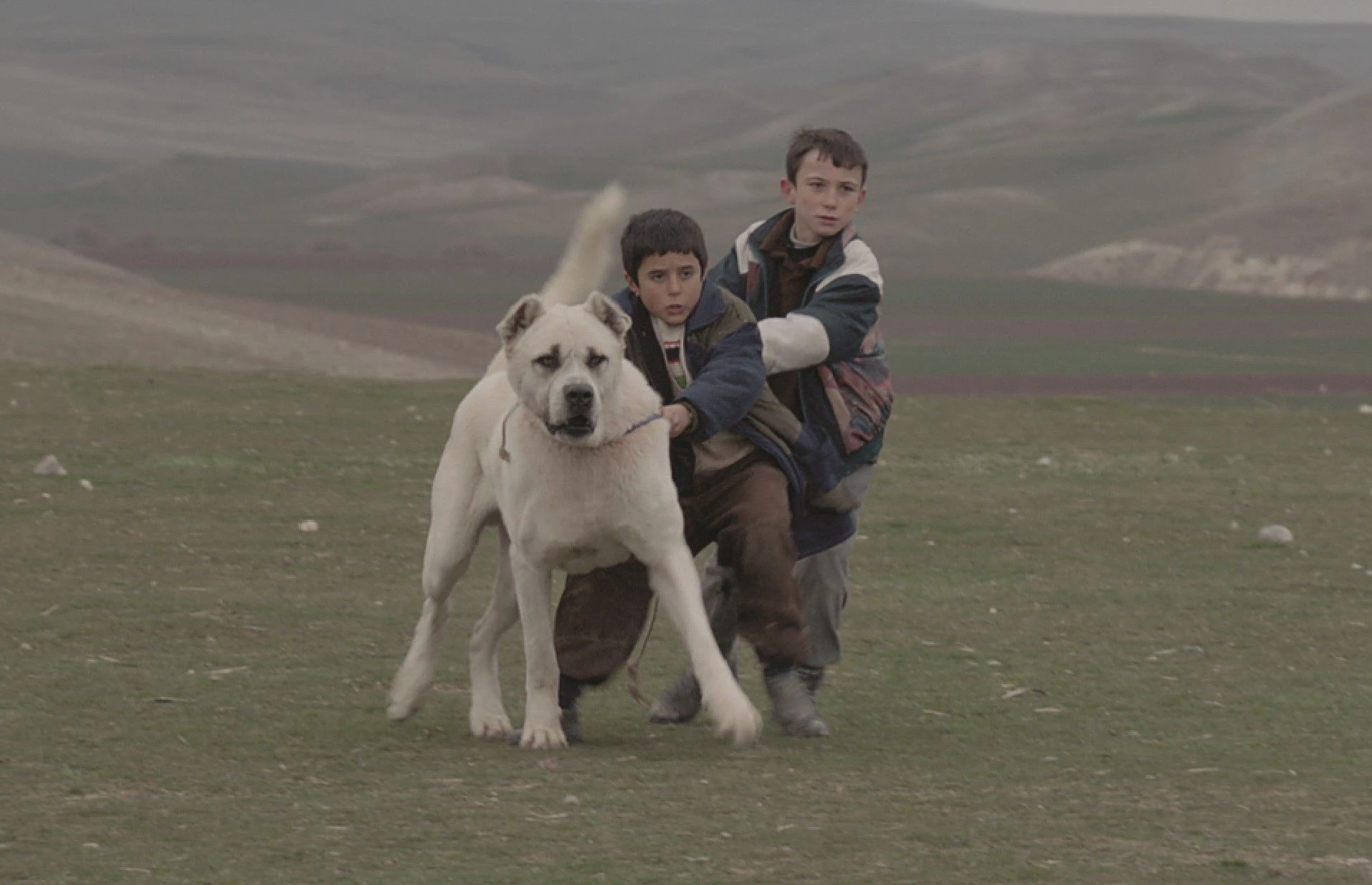 2014 yapımı modası hiç geçmeyen bir film: Sivas - Dergy