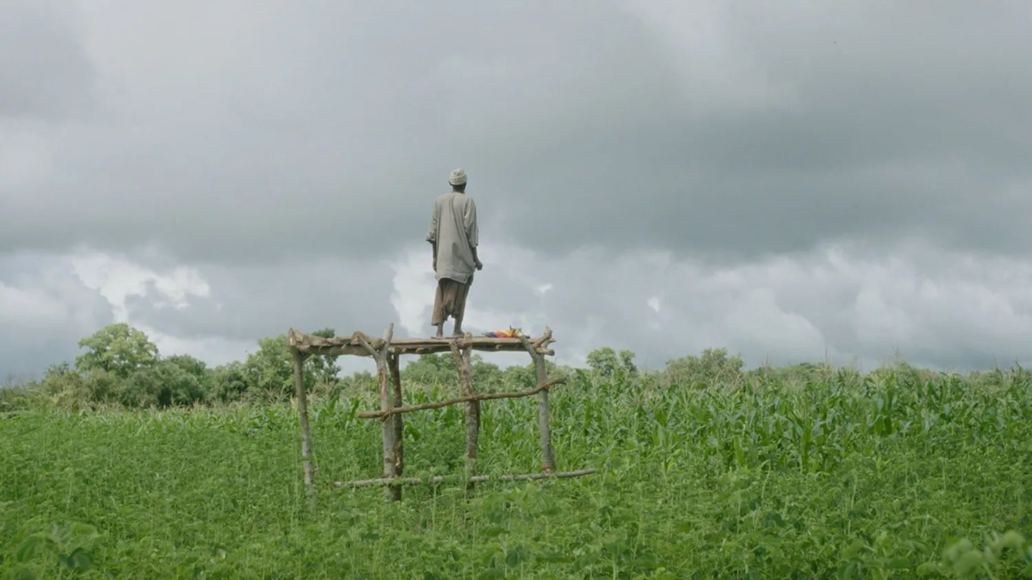 son kiyi la derniere rive