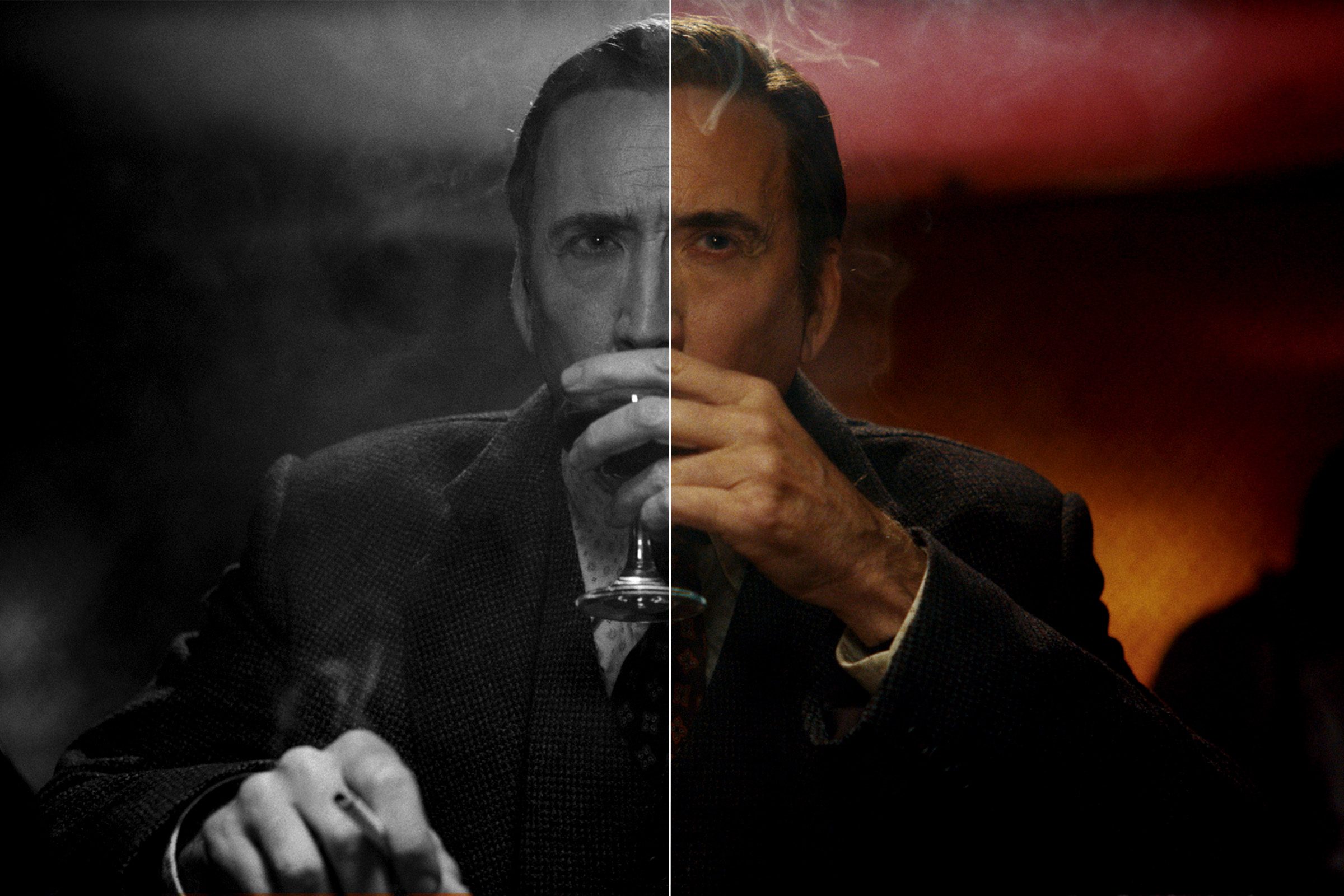 spider noir Nicolas cage