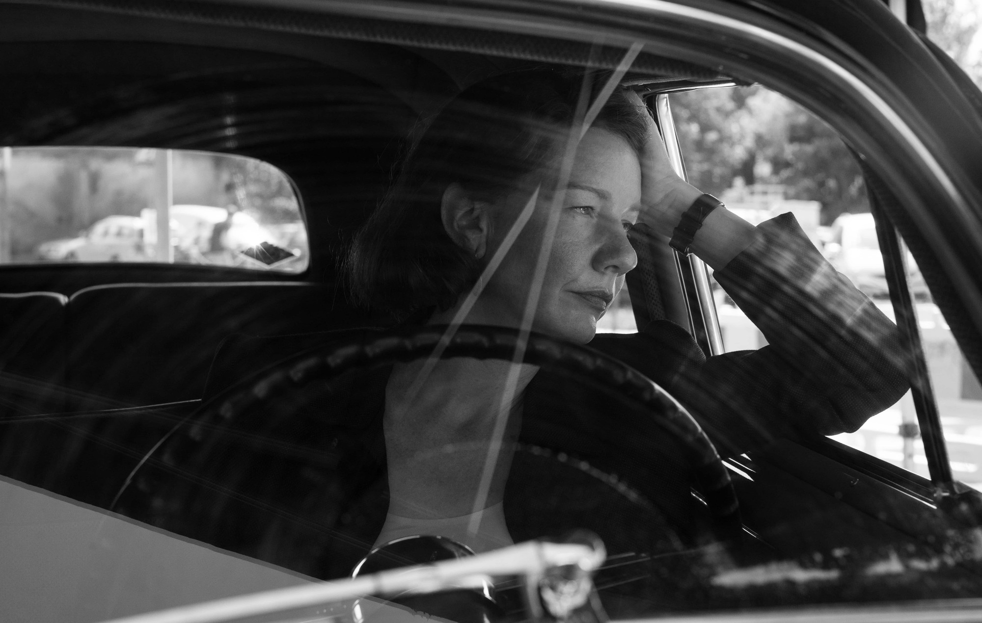 Fatherland-Paweł Pawlikowski